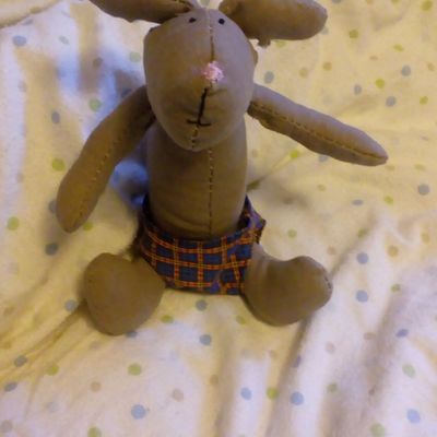 Un nouveau compagnon