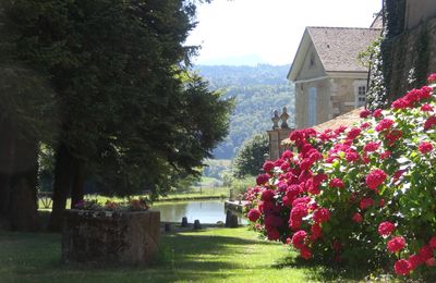 À part ça, tout va bien !