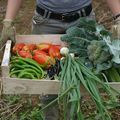 Le bonheur est dans l'assiette (1) : Arnaud Daguin, réenchanter la cuisine