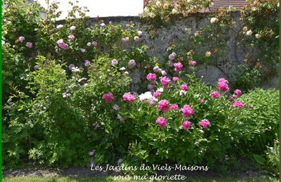 Les Jardins de Viels-Maisons [02540] Hauts de France