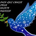 DEFI 2021 – Eglise Nouvelle Vie – Quebec  N° 11 – LA PAIX QUI CHASSE LA PEUR, L’ANXIETE, L’ANGOISSE