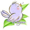 Le petit oiseau de Mary