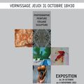 Exposition 5 en 1 du 29 OCTOBRE au 9 NOVEMBRE 2013