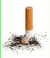 Respectons la nature, changeons nos habitudes
