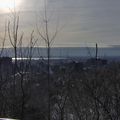 Mont-Royal sous la neige