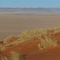 La Namibie : les dunes rouges 2