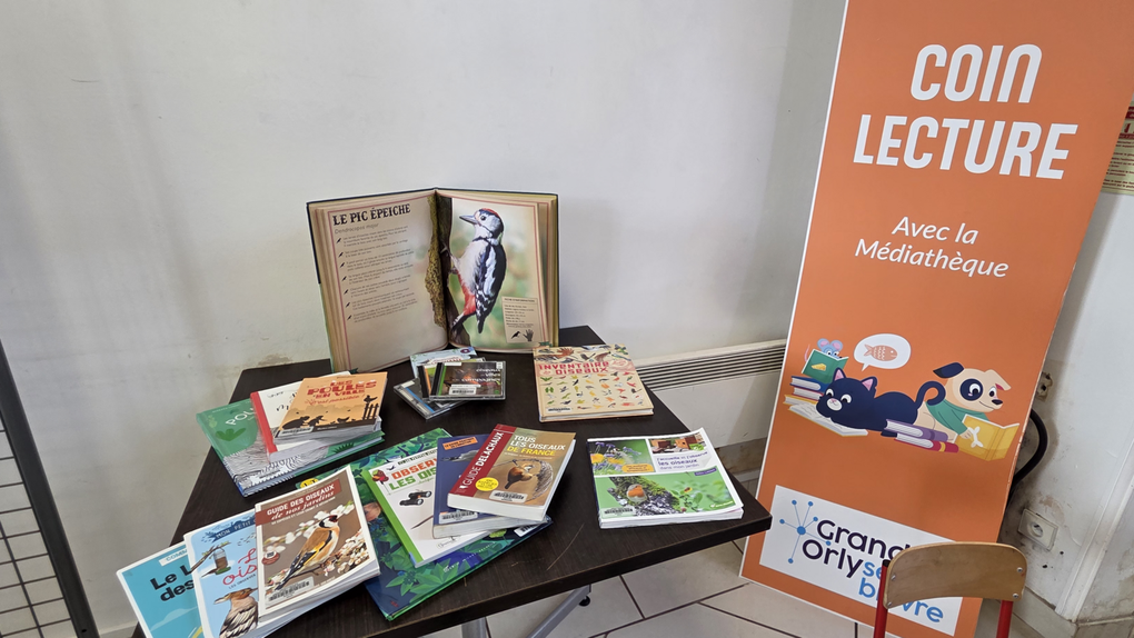 Photographies : ©2025 David de Boisvilliers