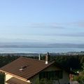 Vue de ma fenêtre