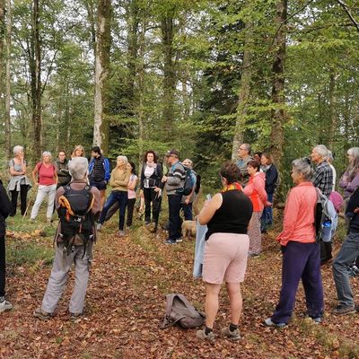 Balade du 16 octobre en forêt du Bager