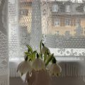 Les mois d'hiver - Le bouquet