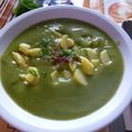 MISE A JOUR RECETTES - SOUPE DE COURGETTES FENOUIL MENTHE