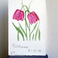 1 jour 1 fleur / 3