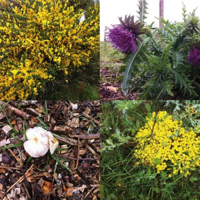 les après-midi à Mousterlin