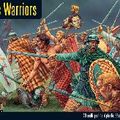 Celtic Warriors : revue