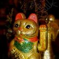  Les douze bonnes résolutions 2014 du chat de maison