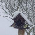 Bourbach le Haut, le village des poisons : 30 avril 2014