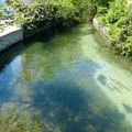 Isle sur la Sorgue - la venise provençale