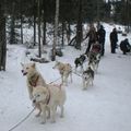 Musher party
