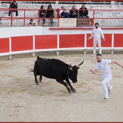 REMOULINS