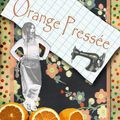 Retrouvez ORANGE PRESSEE sur FaceBook !! 