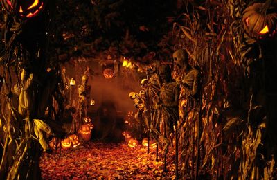 [GRIF' En Fête] Halloween c'est Samhain  en vrai!