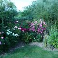 Mon jardin