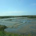 Vacances - Les marais salants