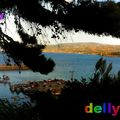 Photo de Dellys Panoramique vue du port