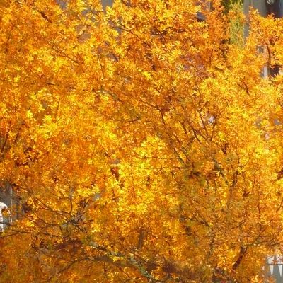 Chut ... Bébé dort ...