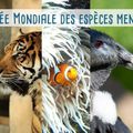 Une journée pour parler des espèces menacées