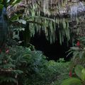 Les grottes de Maraa