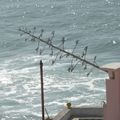 Portugal Aeznhas do mar,Praia das maças