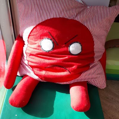 Les coussins de la colère