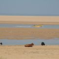 les plaisirs de la plage !