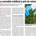 Cannabis médical