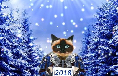 cartes de voeux 2018 avec chats