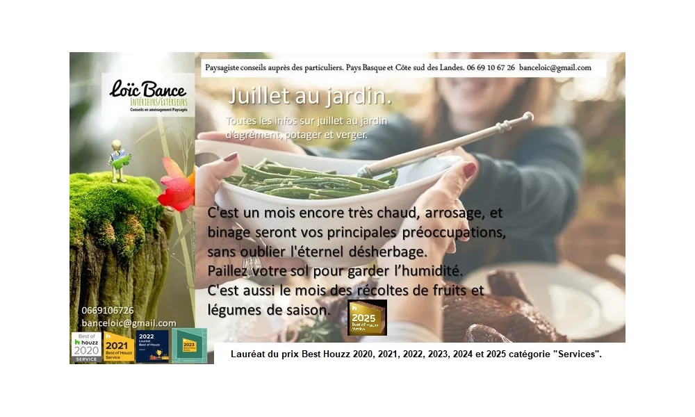 👨‍🌾Juillet au jardin. Paysagiste Pays Basque Paysagiste Landes