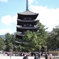 Nara, ses dains et son bouddha monumental...