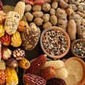 Réforme de la législation sur le commerce des semences.. bougeons-nous avant qu'il ne soit trop tard!