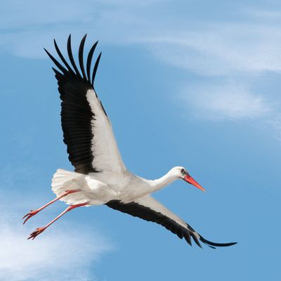 Retour à la maison.