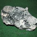 DIORITE Orbiculaire H5 - 2A STE LUCIE DE TALLANO 