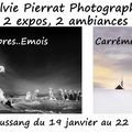 SYLVIE PIERRAT /2 EXPOS AU CASINO