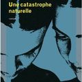 Une catastrophe naturelle - Margriet de Moor 