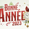 Un nouveau chapitre a écrire… bon réveillon de Saint Sylvestre... et bonne année 2023