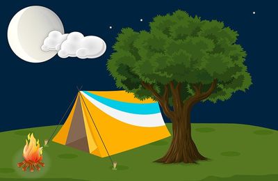 Camping en forêt : les mesures préventives à appliquer