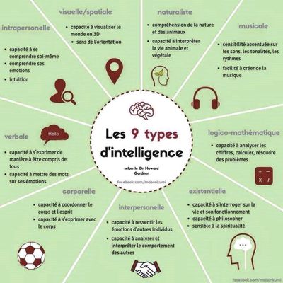 Les 9 types d'intelligence
