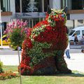 (11)la balade continue en car -ISTANBUL