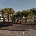 Rond-point à Ingenio (Espagne)