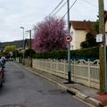 La rue Henri à Franconville...hier et aujourd'hui (série 2)