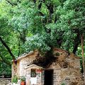 L'église avec 17 arbres dedans!